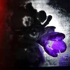 JB Is Dead (Original Mix)