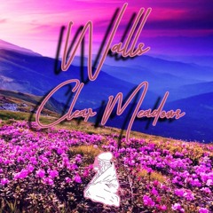 [Walls.] - Clear Meadows (Cozy Collective Exclusive)