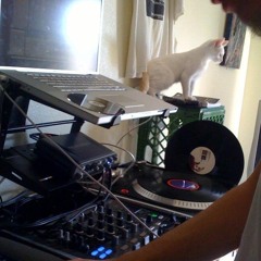 Doctor P feat Jenna G neon remix (dankfischt86@gamil.com)