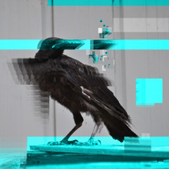 Digital Requiem II