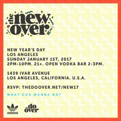 The New-Over Los Angeles (01.01.2017)