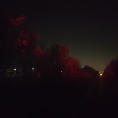 Saturday, November 26th