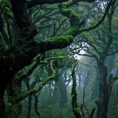 The Unquiet Grave - Penny Dreadful (cover by Arianna Deligianni)