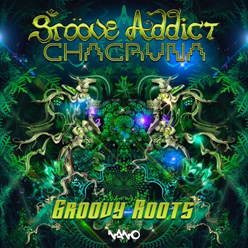 Groove Addict Chacurna- Groovy Roots 144