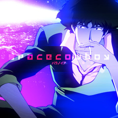 Space Cowboy