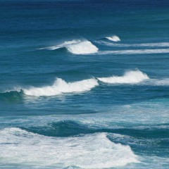 Ocean Of Brahman