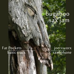 Saxjam on Bugaboo / by Fat Pockets