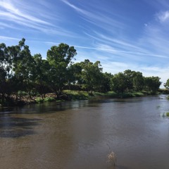 Sounds of Summer: Macquarie River