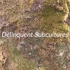 Delinquent Subcultures