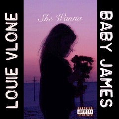 She Wanna - Baby James ft. Louie VLone