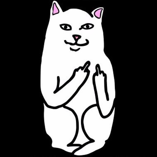 Кот показывает фак