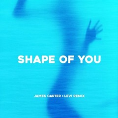 Ed Sheeran - Shape Of You (James Carter x Levi Remix) >>Free Download<<