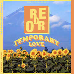 Temporary Love
