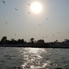 Bortglömda Verser 2010 - 2016