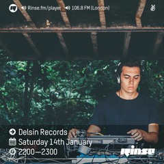 Rinse FM Podcast - Delsin Records - 14th January 2017