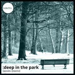 NUL036-Deep In The Park Vol. 5 - Winter Edition