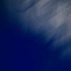 Thongs & Incest (2013)