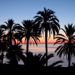 Rayce - Before The Party (Original Mix)