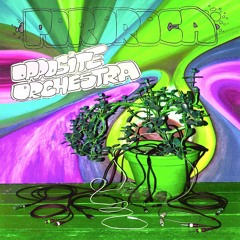 Pororoca - Opposite Orchestra (Album Mix) // Free DL @ ektoplazm.com!