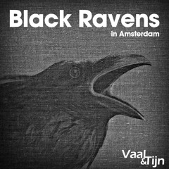 Vaal & Tijn - Black Ravens in Amsterdam