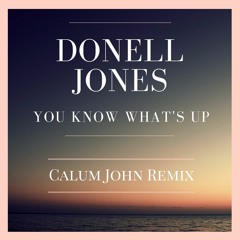 Donell Jones - You Know What's Up (Calum John Remix)