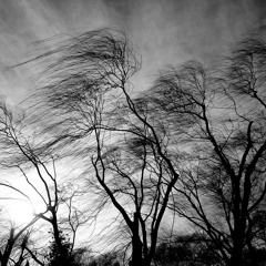 A Change in the Wind *Instrumental