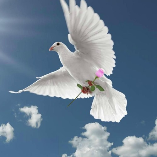 "La Paloma"         (Chamamé | Arrangements -  Free Download)