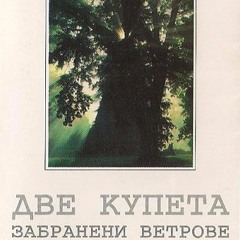 01 Intes / Banned Winds 1996 /