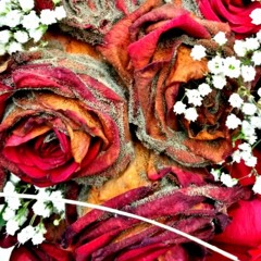 Creature Revertigo - Follow me