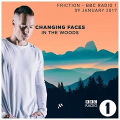 Changing Faces - In The Woods [Friction - BBC Radio 1 cut]