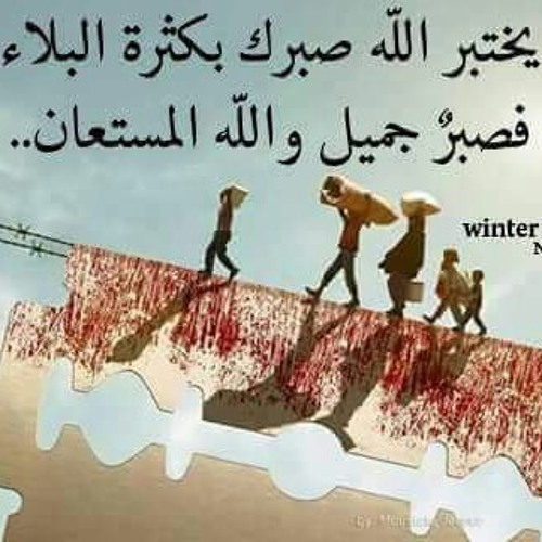 سورة يوسف بصوت الشيخ أنس جلهوم