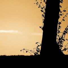 Lord We Pray for this City