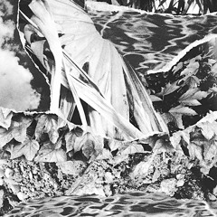 GREAT YTENE – Fixed Victim