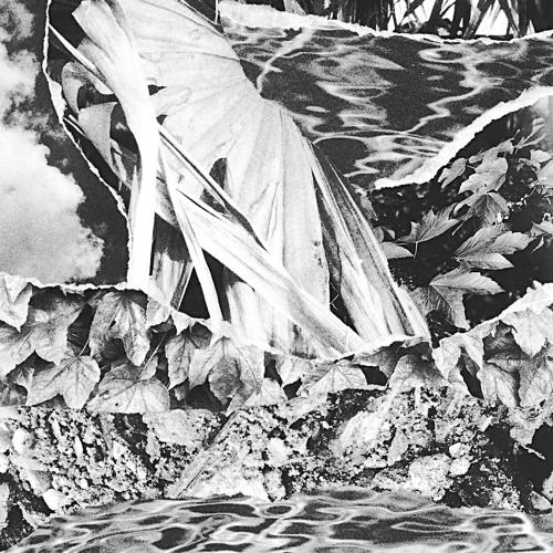 GREAT YTENE – Fixed Victim