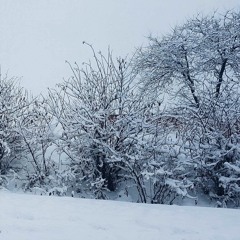 Berkay Akçora - Bir Kez Daha