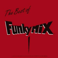 THE BEST OF FUNKY MIX 1