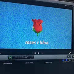 roses r blue