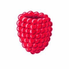 Zap Holmes - Raspberries