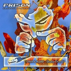 OMR & ADRY - Shake That (Original Mix)