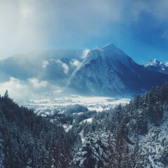 Frost - Panorama