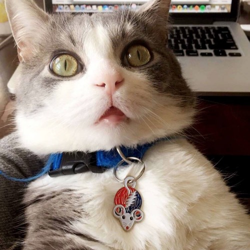 Soul Drippings (outro)