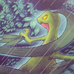 Pokémon Mystery Dungeon