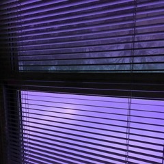 Basket Case (feat. Freddie Kruger)