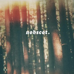 nobscot [beat tape]