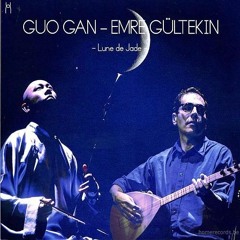 Guo Gan & Emre  Gültekin-Hasret (2016)