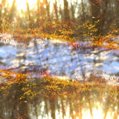 Lush Landscapes