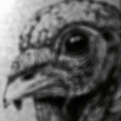 DroopSet - Flapped (Prod. Oogie Mane)