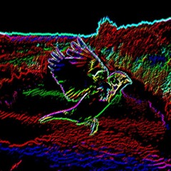 Birds On Wires (Excerpt)