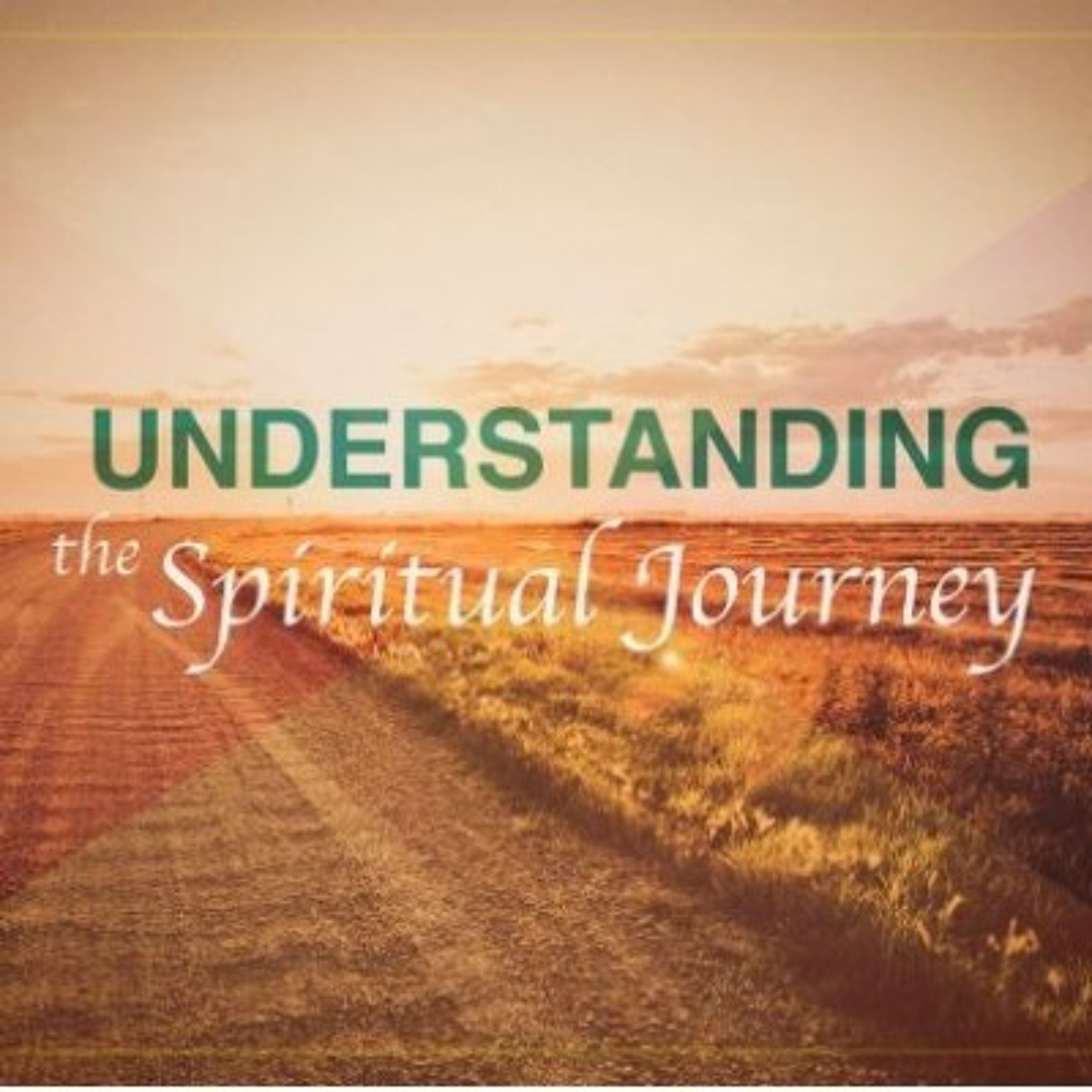 The Spiritual Journey of Childhood - Jeff Strong - Sun Jan 15, 2017 episode artwork