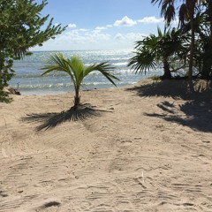 Sun Shining on My Face